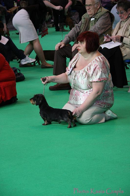 Crufts2011_2 638.jpg